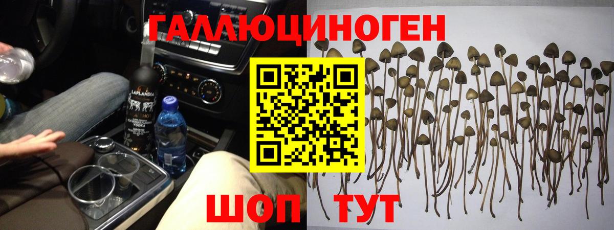 Галлюциногенные грибы мицелий Урюпинск